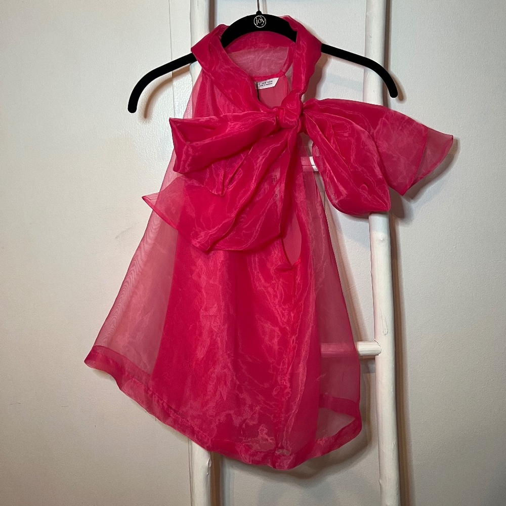 Zara Pink Sheer Tie-Neck Bow Top (WITH TAGS)
